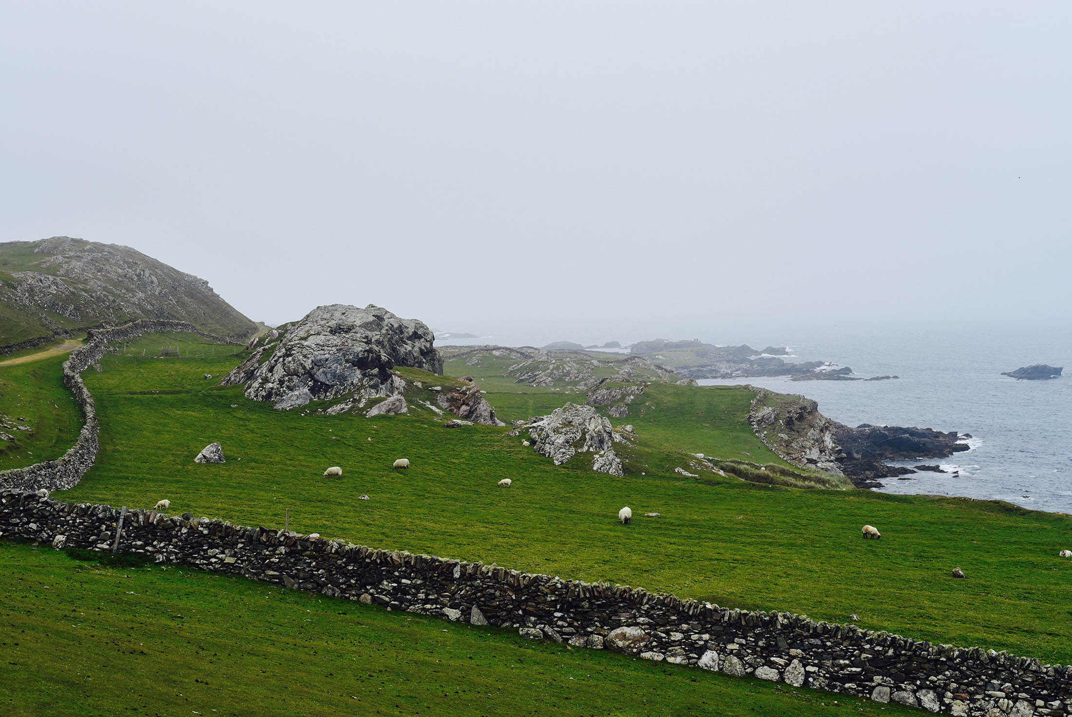 Misty Inishbofin