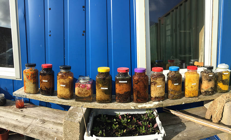 Ardalanish Weavers, Mull, Scotland. Dye jars.