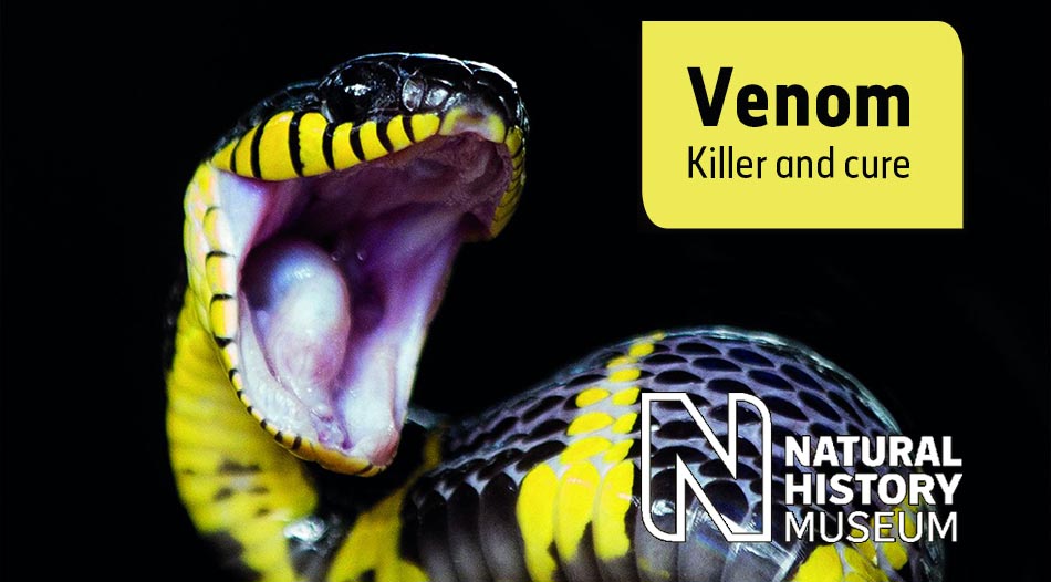 Venom - Killer and Cure Exhibition. Natural History Museum, London.