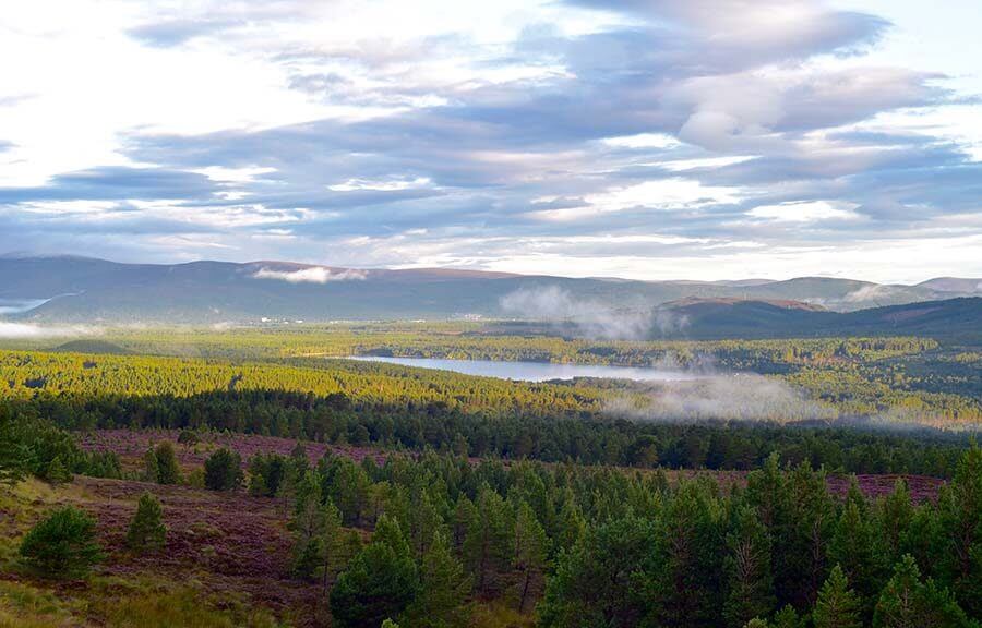 Glenmore Forest Park